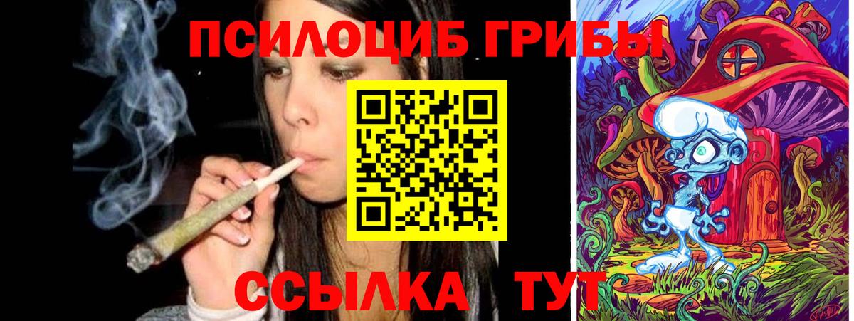Псилоцибиновые грибы Psilocybe Южноуральск